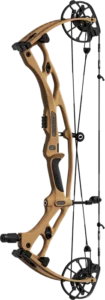 Hoyt Carbon RX-9 series bows at Daves Sporting Goods, Pittsfield MA