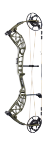 Bear Whitetail INT compound bow at Daves Sporting Goods in Pittsfield MA